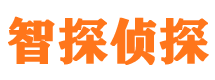 成武侦探公司